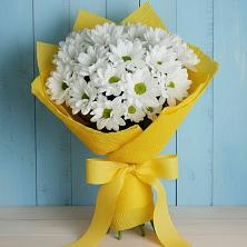 Букет цветов из:  Хризантемы в Поселок санатория Министерства Обороны