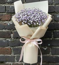 Букет цветов из:  Гипсофила в Поселок санатория Министерства Обороны