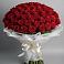 Букет 101 Красная роза Блэк Мэджик в Поселок санатория Министерства Обороны