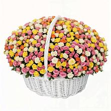 Премиум букет из: Розы в Поселок санатория Министерства Обороны