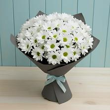 Букет цветов из:  Хризантемы в Поселок санатория Министерства Обороны