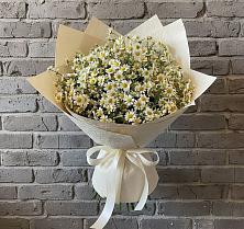 Букет цветов из:  Ромашки в Поселок санатория Министерства Обороны