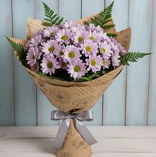 Букет цветов из:  Хризантемы в Поселок санатория Министерства Обороны