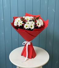 Букет цветов из:  Хризантемы в Поселок санатория Министерства Обороны