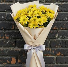 Букет цветов из:  Хризантемы в Поселок санатория Министерства Обороны