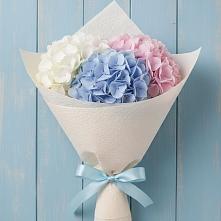 Букет цветов из:  Гортензия в Поселок санатория Министерства Обороны