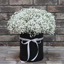 Цветочная композиция из Гипсофила в шляпной коробке в Поселок санатория Министерства Обороны