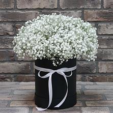 Цветочная композиция из Гипсофила в шляпной коробке в Поселок санатория Министерства Обороны