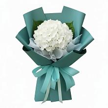 Букет цветов из:  Гортензия #REPLACE_PRED# Поселок санатория Министерства Обороны